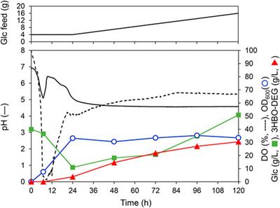 Optimization of Culture Conditions for Secretory Production of 3-Hydroxybutyrate Oligomers Using Recombinant Escherichia coli